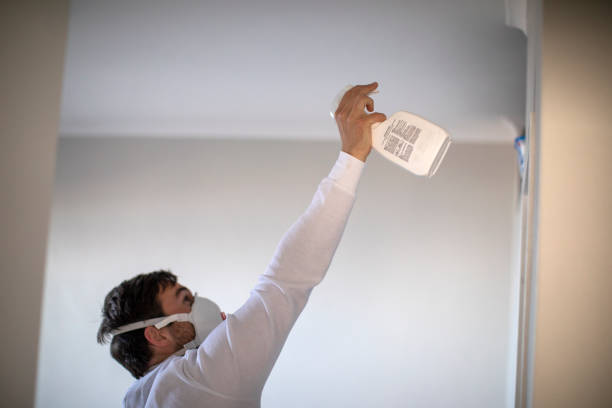 Best White Mold Remediation in Livingston, TN
