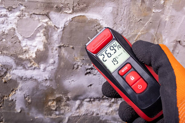 Professional Mold Remediation in Livingston, TN