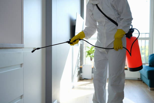 Best Localized Mold Remediation (e.g., coastal areas, humid climates) in Livingston, TN