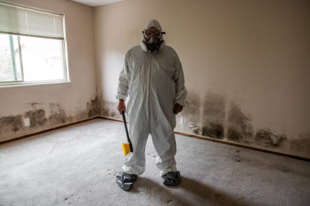 Best Basement Mold Remediation in Livingston, TN